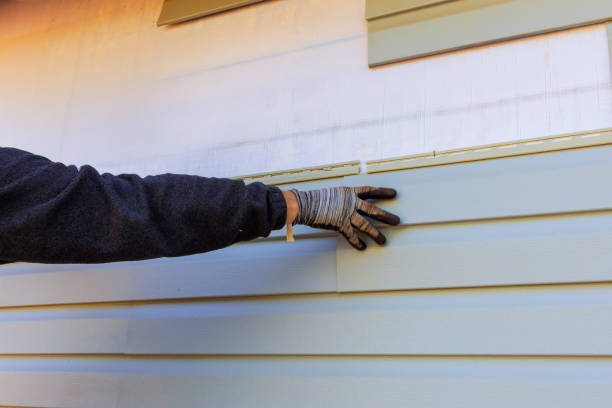 Best Insulated Siding Installation  in Clinton, IL